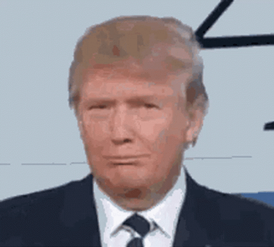 Donald Trump Pshhh GIF