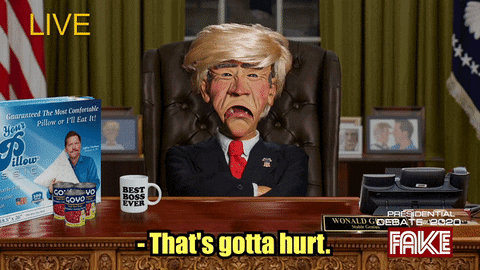 Donald Trump Puppet Thats Cold That's Gotta Hurt GIF