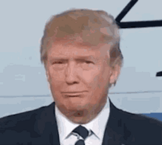 Donald Trump Silly Reaction GIF