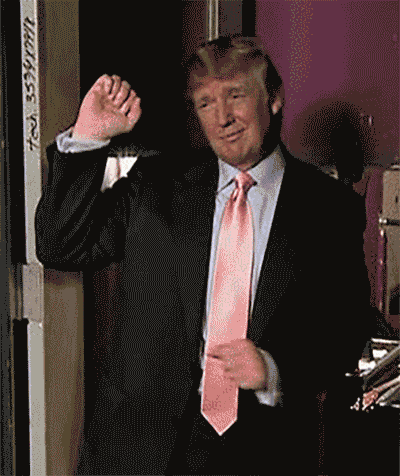 Donald Trump Simple Dancing GIF