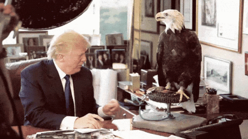 Donald Trump Sitting at Desk with Bald Eagle