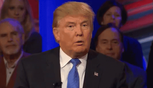 Donald Trump Smiling in Suit and Tie Before Crowd