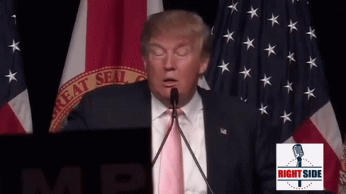 Donald Trump Speaking Into A Microphone In Front Of A Flag That Says Great Seal Of The United States GIF