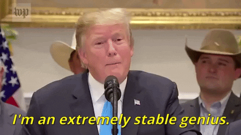 Donald Trump Speaking Into Microphone Extremely Stable Genius GIF