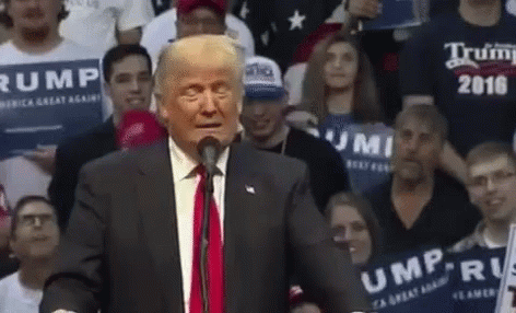 Donald Trump Speaking With Trump 2016 Signs GIF