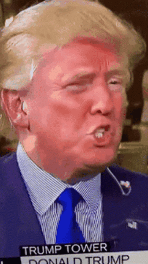 Donald Trump Tan Blush Face GIF