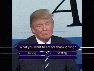 Donald Trump Thanksgiving Meme GIF