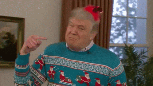Donald Trump Ugly Christmas Sweater Santa Hat