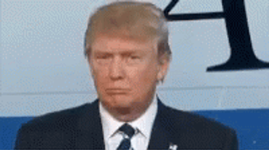 Donald Trump GIF