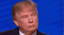 Donald Trump What Did He Say GIF