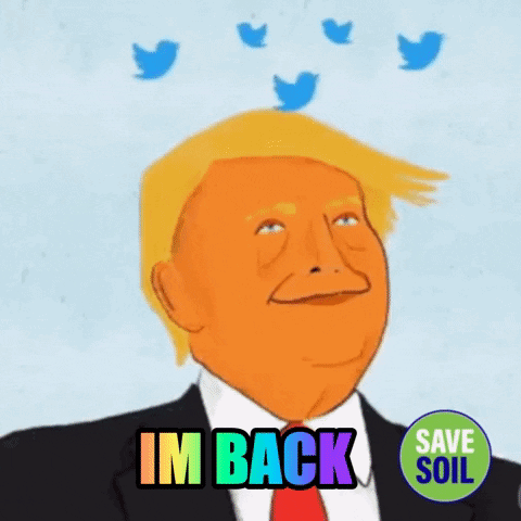 Donald Trump With Twitter Birds Saying Im Back