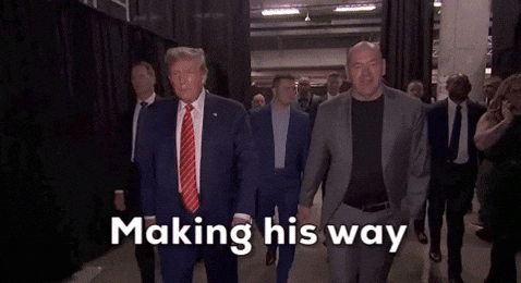 Donald Trump Wwe Making His Way GIF