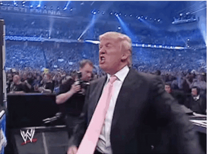 Donald Trump WWE Wrestler GIF
