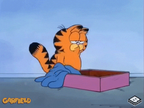 Done And Done Garfield Fall To His Box GIF