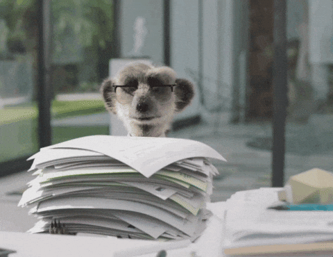 Done And Done Meerkat Drop Papers GIF