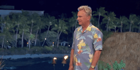 Done Over It Pat Sajak Wheel Of Fortune GIF