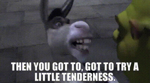 Donkey And Shrek Is Love GIF