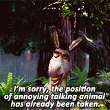 Donkey Annoying Animal Has Already Been Taken GIF