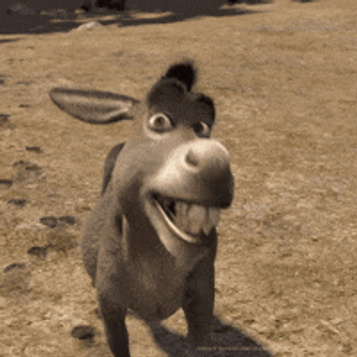 Donkey Big Smile From Movie Shrek GIF