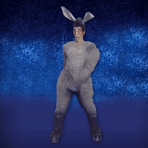 Donkey Floss Dancing The Musical Australia GIF