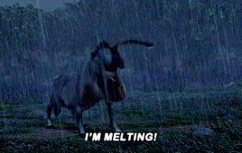 Donkey in Rain Saying I'm Melting