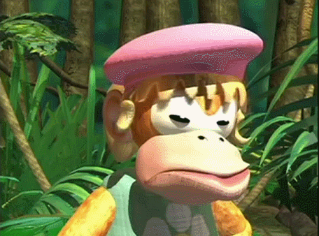 Donkey Kong Country Dixie Kong GIF