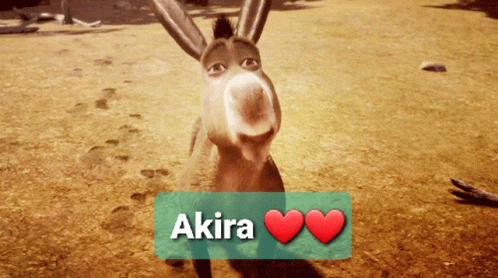 Donkey Named Akira