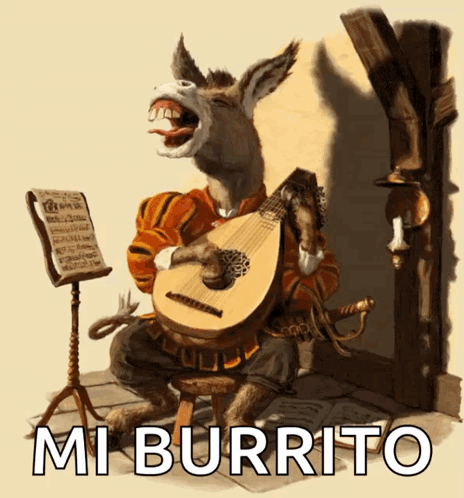 Donkey Playing Musical Instrument Mi Burrito