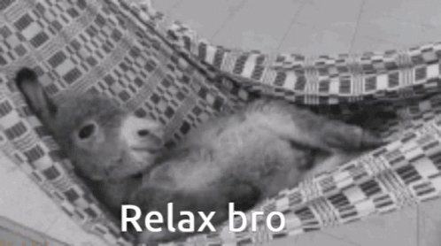 Donkey Relax Bro GIF