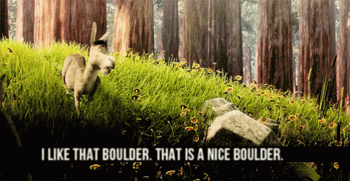 Donkey Saying I Like That Boulder Nice Boulder