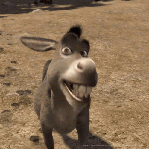 Donkey Smiling From Shrek GIF