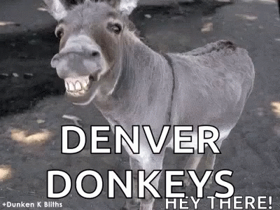 Donkey Smiling on Dirt Road