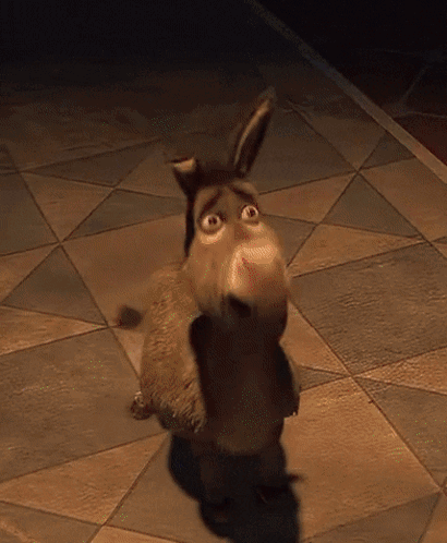 Donkey Standing On Tiled Floor GIF