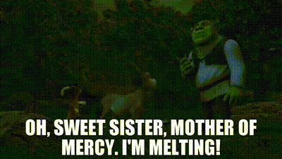 Donkey To Shrek I'm Melting Movie Scene GIF