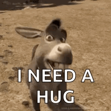 Donkey With You Call Me A Jackass Lol GIF