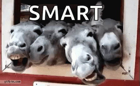 Donkeys Looking Out Window with Smart
