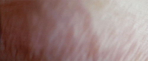 Donnie Darko Blue Eyes GIF