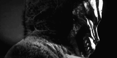 Donnie Darko Frank Monster Face GIF