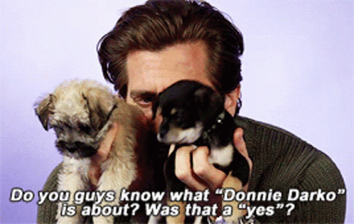 Donnie Darko Jake Gyllenhaal Puppies GIF