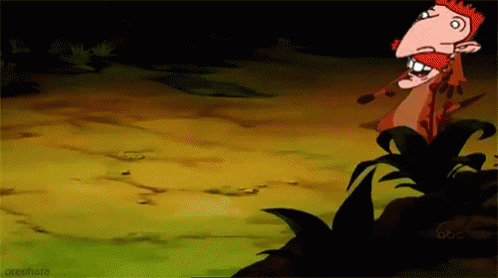 Donnie Thornberry As Timon GIF