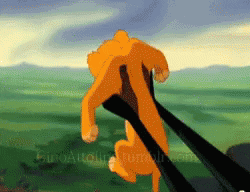Donnie Thornberry Replaced Simba GIF