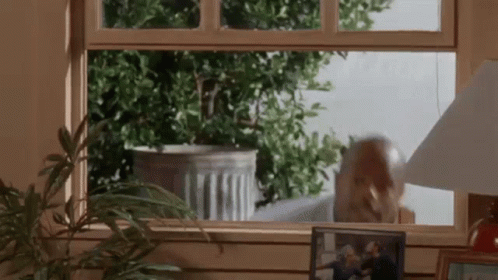 Dont Be A Menace Bald Says Message GIF