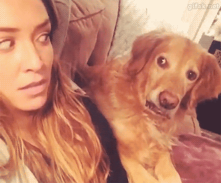 Dont Be Suspicious Hesitant Dog GIF