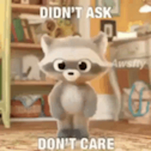 Dancing Raccon Dont Care GIF