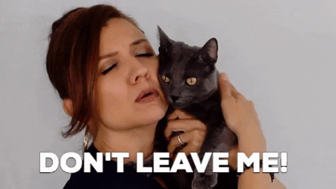 Dont Leave Me Miss Kitty Cuddling Black Cat GIF
