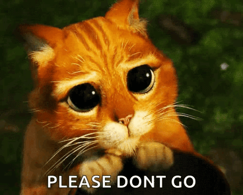 Dont Leave Me Puss In Boots GIF