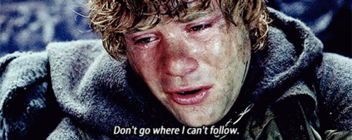 Dont Leave Me Samwise Gamgee Lotr GIF