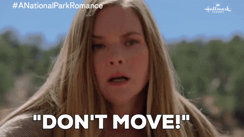 Dont Move Cindy Busby GIF