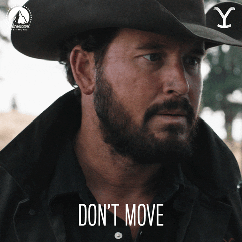 Dont Move Cole Hauser Yellowstone GIF