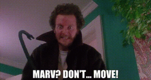 Dont Move Marv Murchins Home Alone GIF